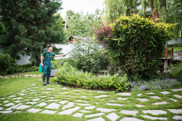 Pest Prevention Services in Stow, OH