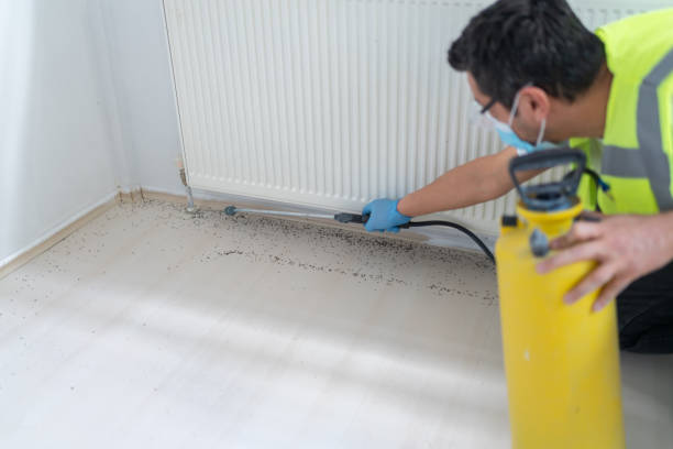 Best Termite Control Services  in Stow, OH