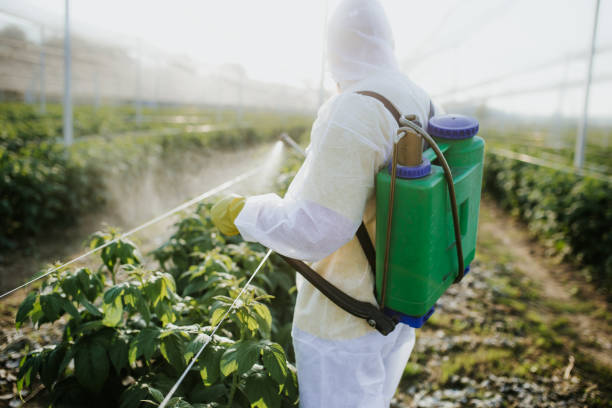 Best Wasp Removal Services  in Stow, OH